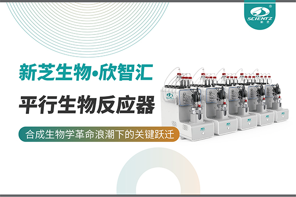 培养菌株和评估工艺参数影响太难太慢？平行生物反应器提供关键解决方案！