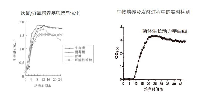 过程安全，结果精准
