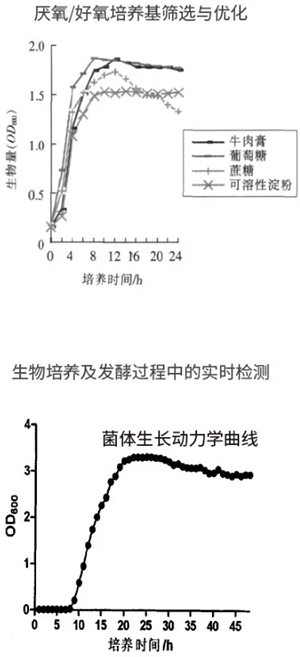 过程安全，结果精准