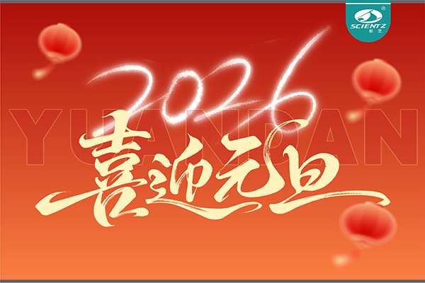 董事长周芳女士新年献词：心有定力，沐光而行